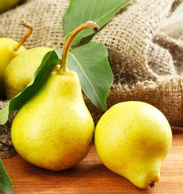 Груша Лимонка 