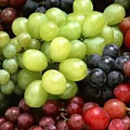 Виноград Столовый Виноград Столовый