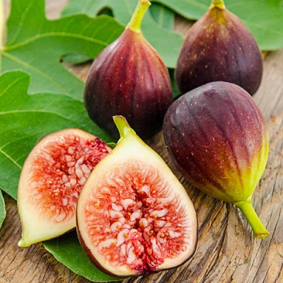 Инжир Сабруция (розовая)